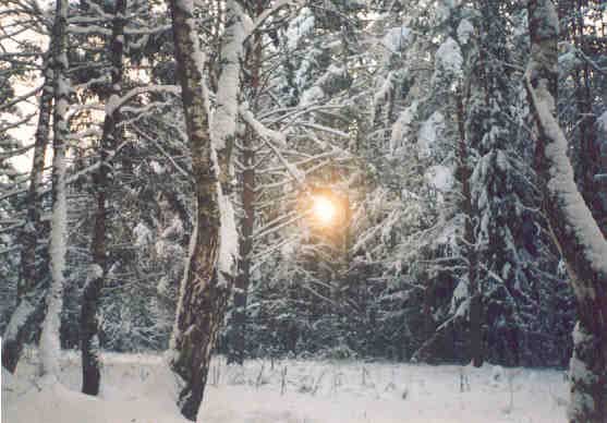 Шаровая молния в зимнем лесу