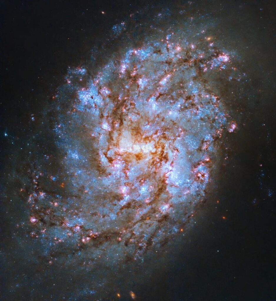 5 октября 2023 года Хаббл запечатлел звездную галактику в созвездии Кита.