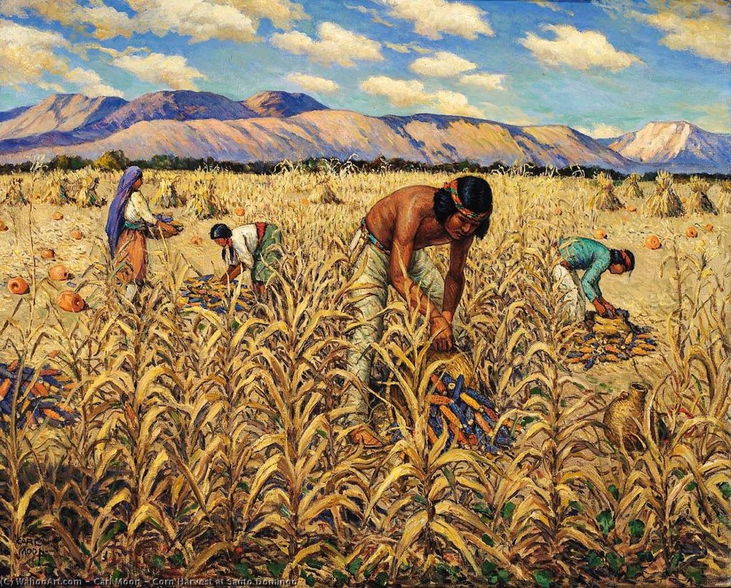 Индейцы собирают урожай