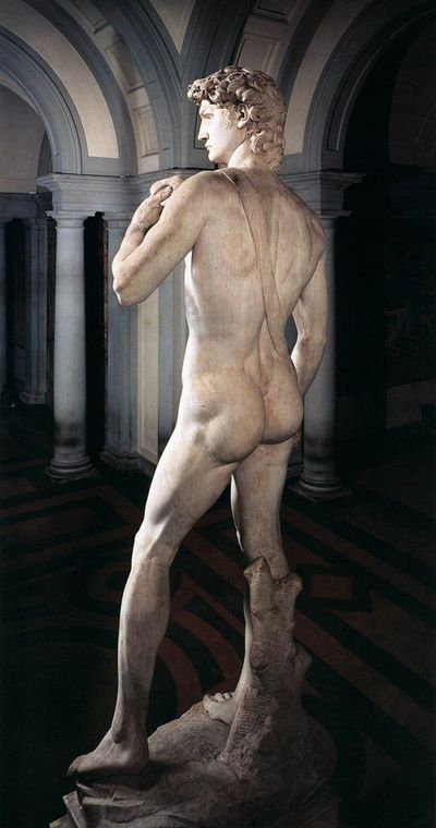 Давид Микеланджело вид со спины.
