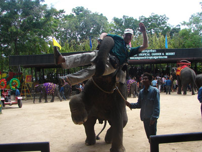 Индийский слон развлекает туристов.