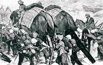 Использование слонов в Первую мировую войну.
