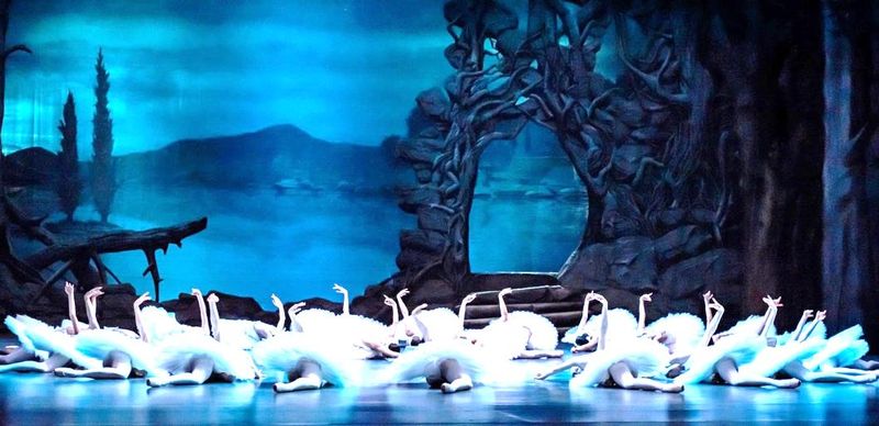 Лебеди на сцене.