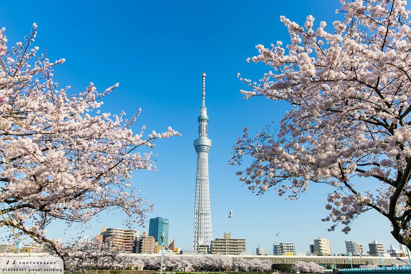 Токийское небесное дерево (Tokyo Skytree).