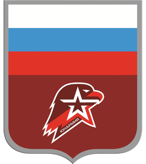 Юнармия. Нагрудный знак.