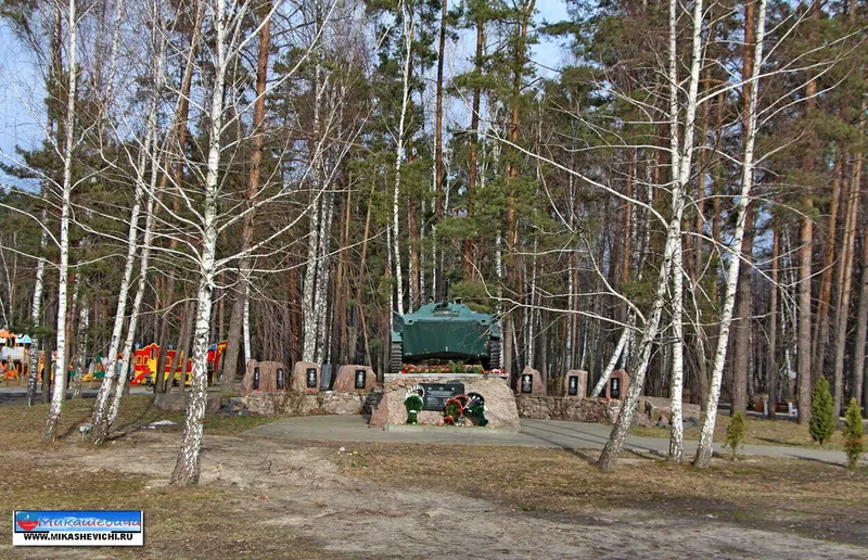 Памятник воинам-интернационалистам Лунинецкого района.