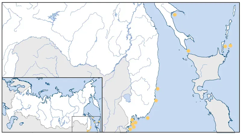 Ареал обитания Хохлатого старика.