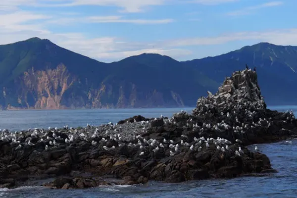Остров Старичков в Авачинском заливе