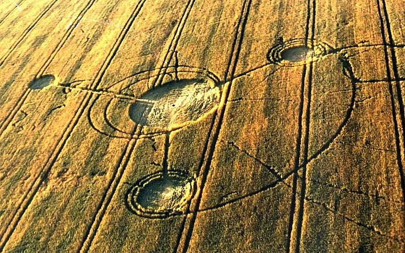 круги — загадки природы