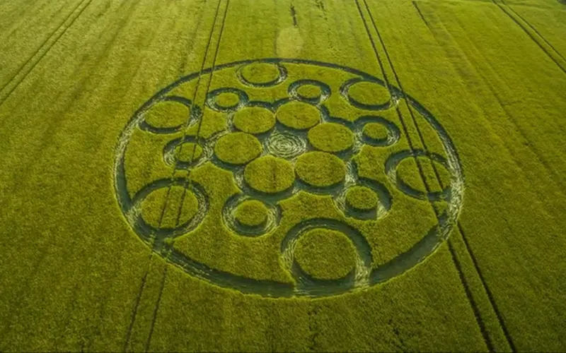 круги на полях