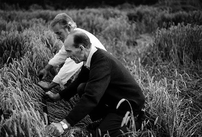 Первые кропмейкеры за работой.