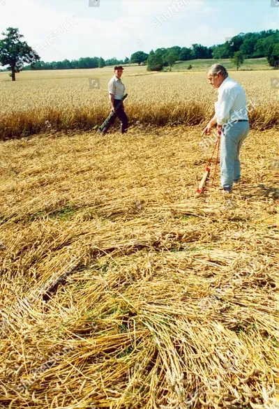 как делают круги на полях