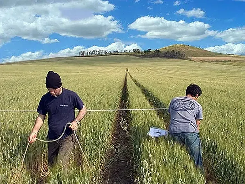 кропмейкеры используют довольно простые инструменты