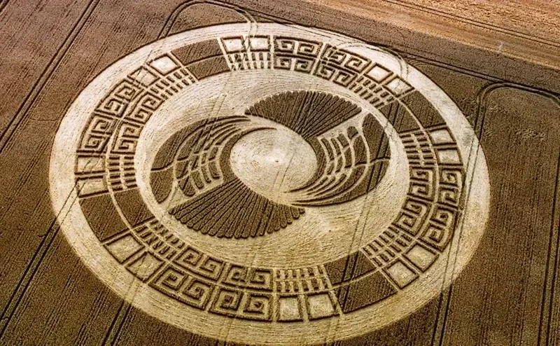 Круги на полях