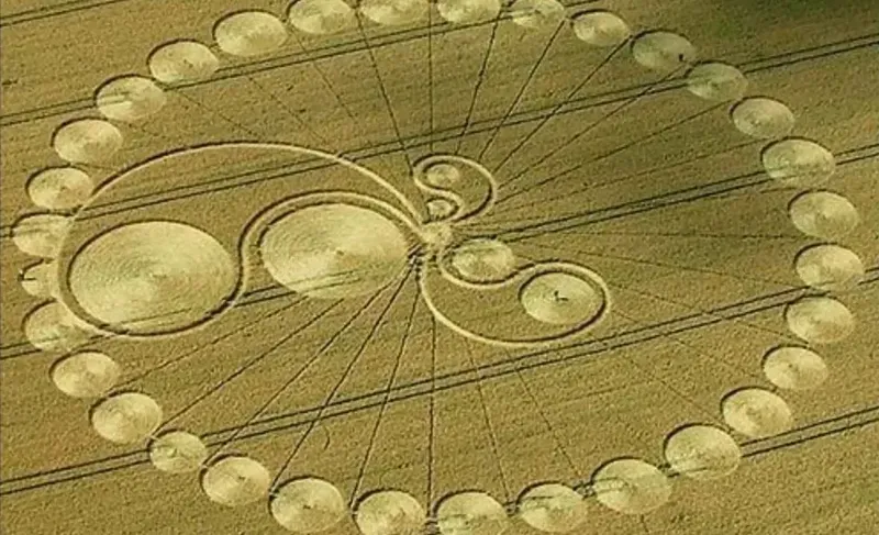 Круги на полях