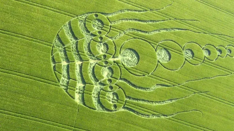 Круги на полях