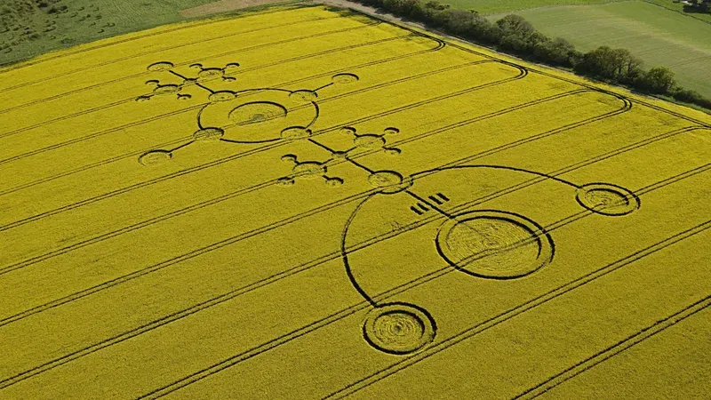 crop circles