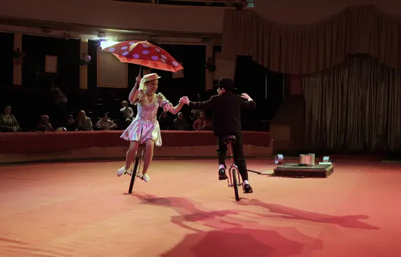 Государственное училище циркового и эстрадного искусства