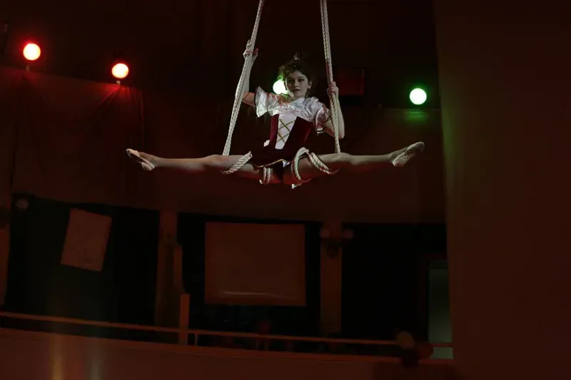 Государственное училище циркового и эстрадного искусства