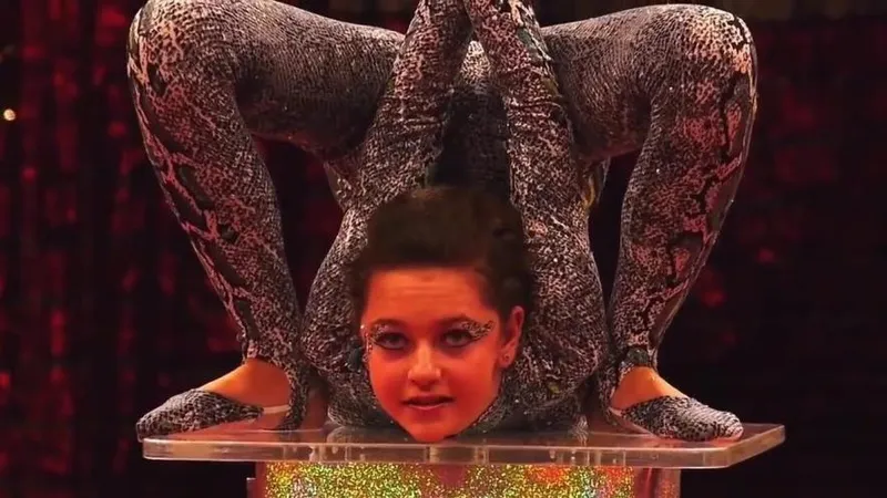 Государственное училище циркового и эстрадного искусства