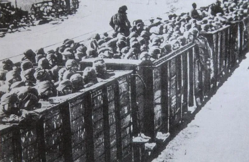 Прибытие пленных из Вяземского котла в лагерь № 126.