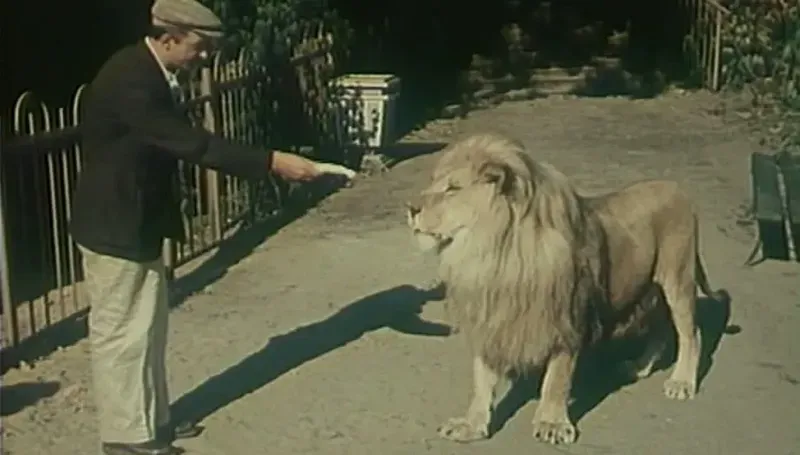 Кадр из фильма «Она вас любит»