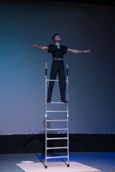 вольностоящая лестница